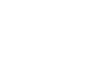 Цветы люкс